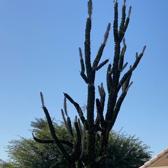 Meet your Posher, Jennifer - Picture 2 of 2